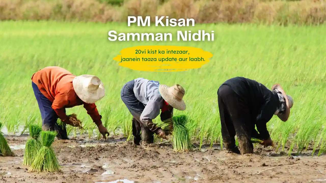 PM Kisan Yojna